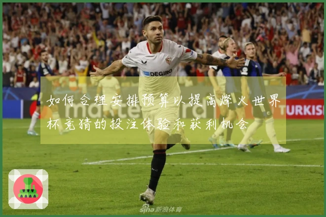 如何合理安排预算以提高烽火世界杯竞猜的投注体验和获利机会