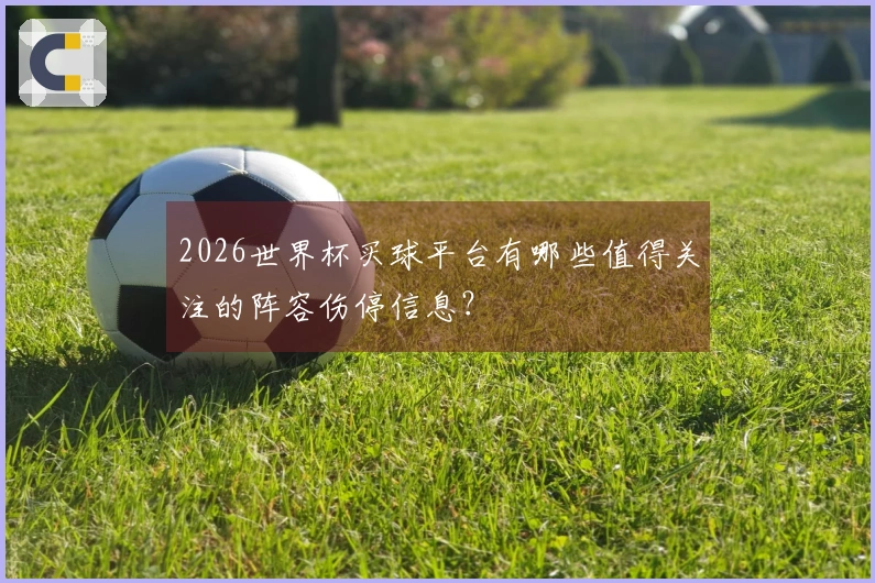 2026世界杯买球平台有哪些值得关注的阵容伤停信息？